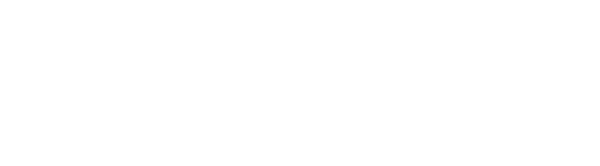 Corsa Security logo